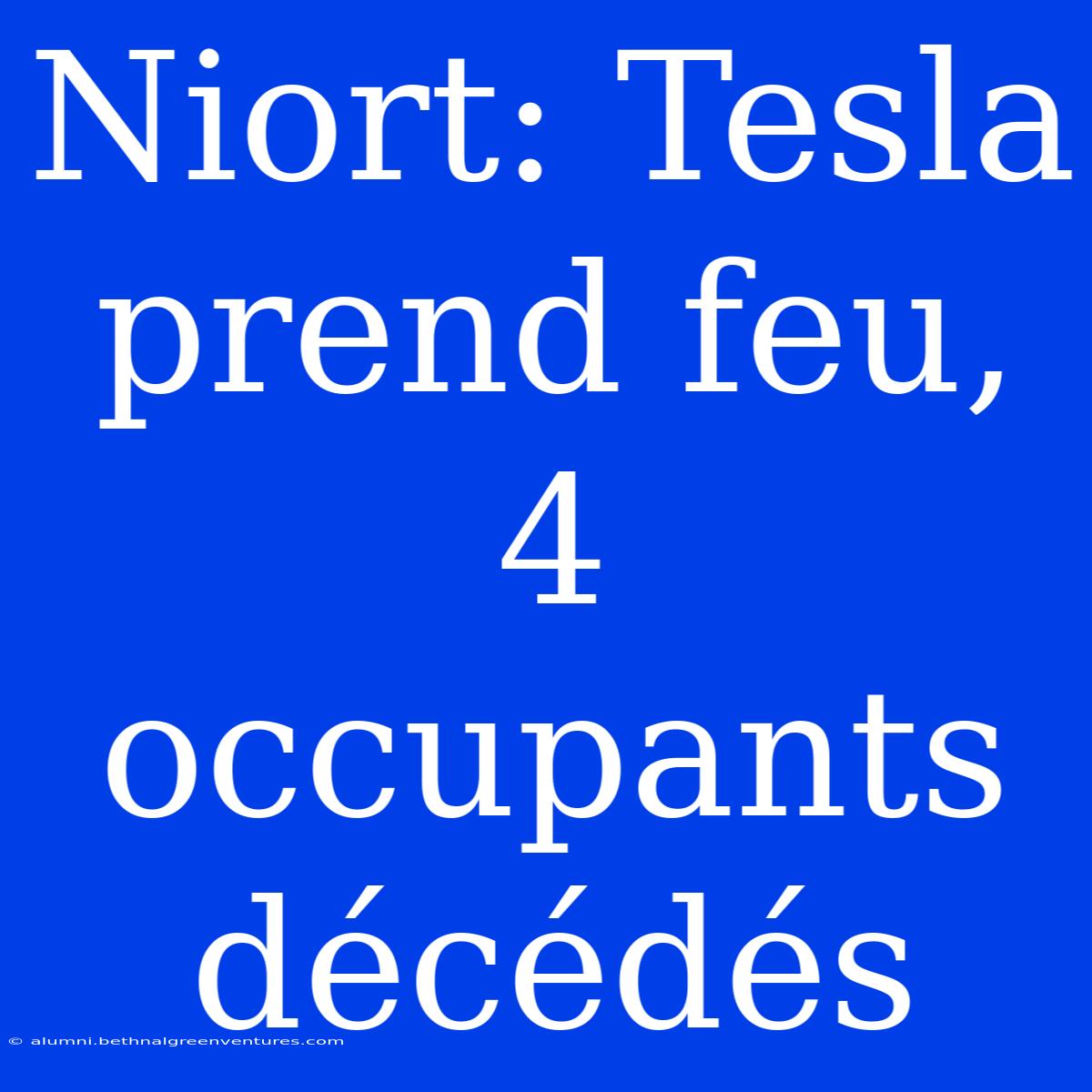 Niort: Tesla Prend Feu, 4 Occupants Décédés