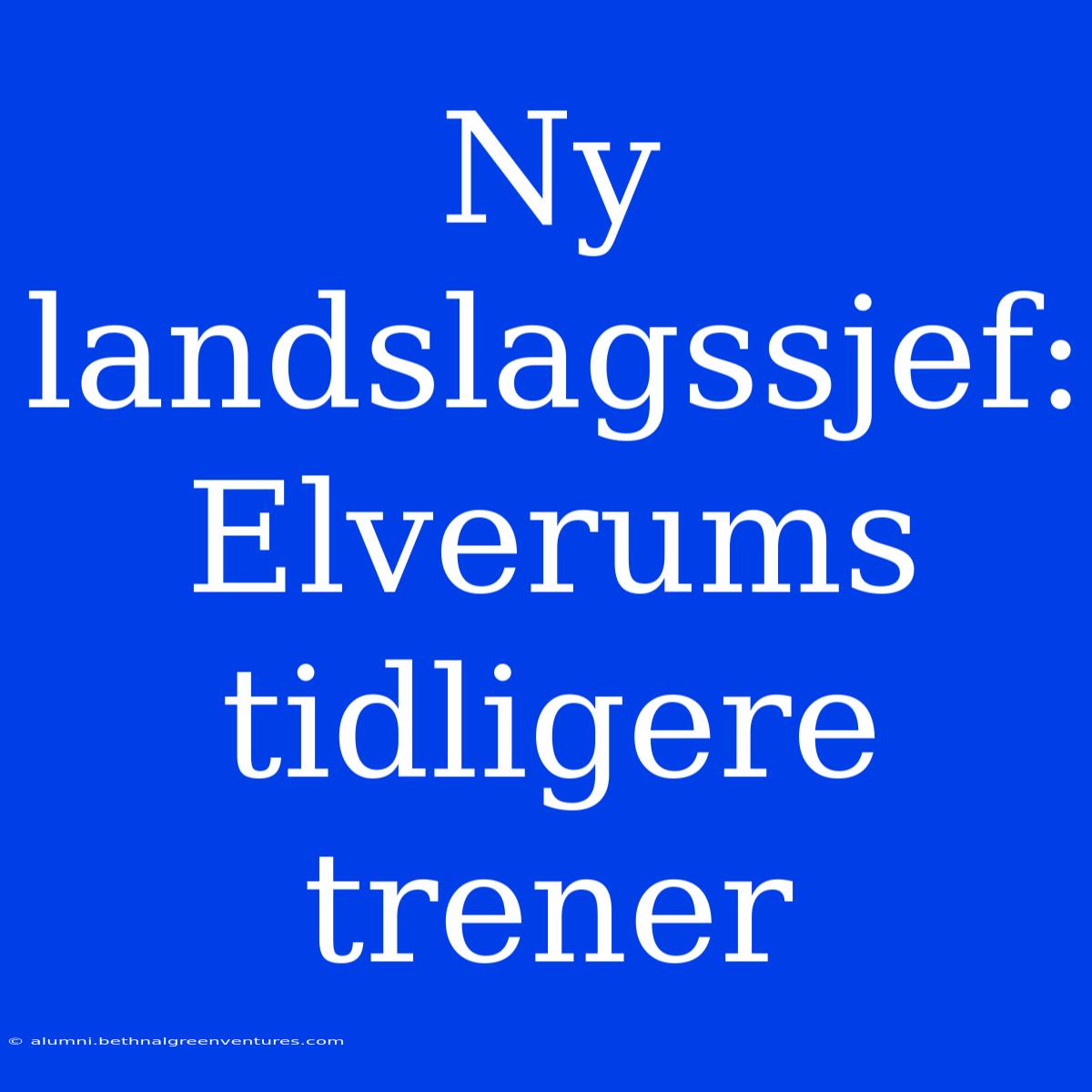 Ny Landslagssjef: Elverums Tidligere Trener