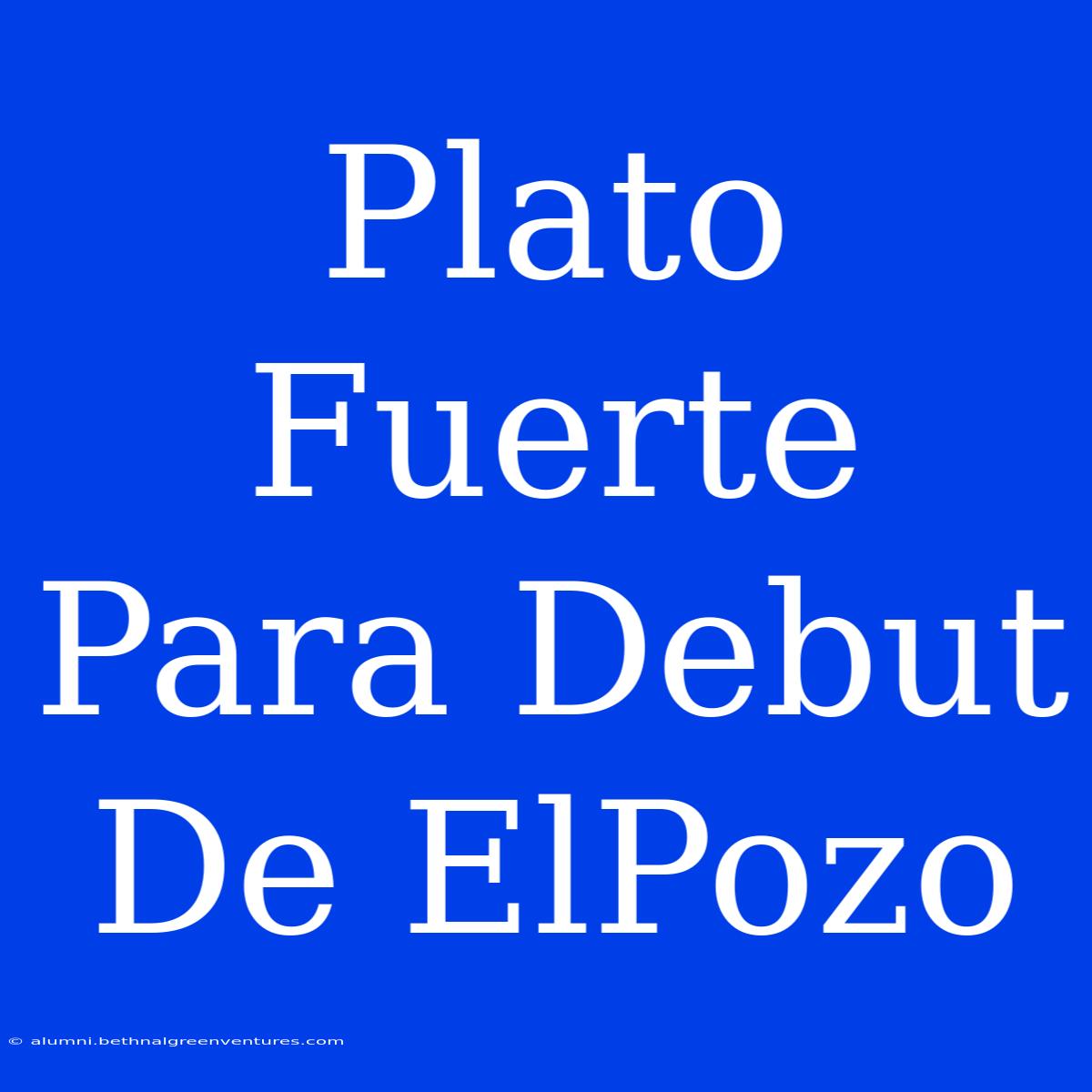 Plato Fuerte Para Debut De ElPozo