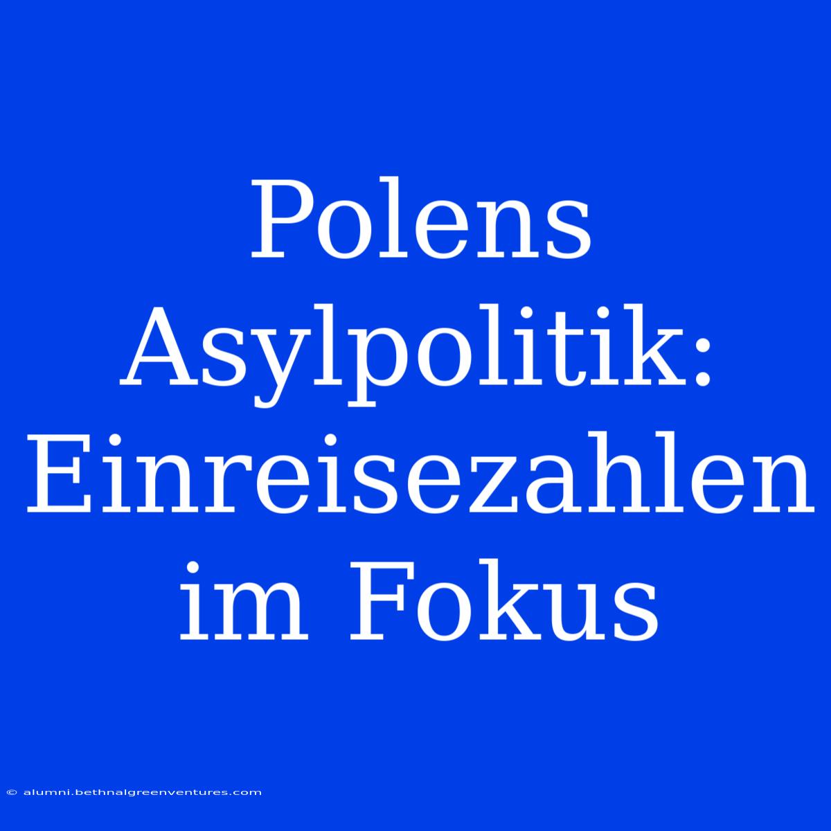 Polens Asylpolitik: Einreisezahlen Im Fokus