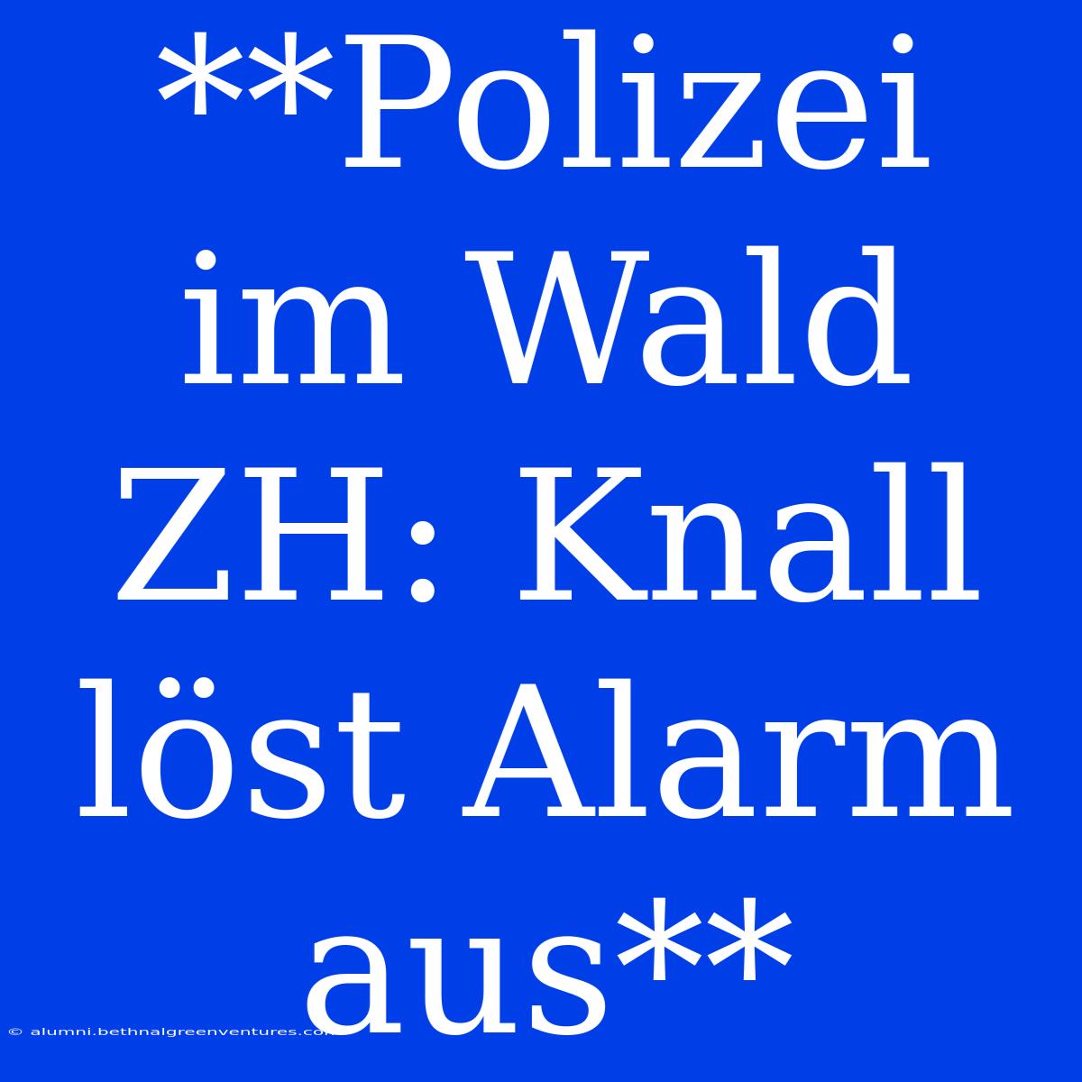 **Polizei Im Wald ZH: Knall Löst Alarm Aus**