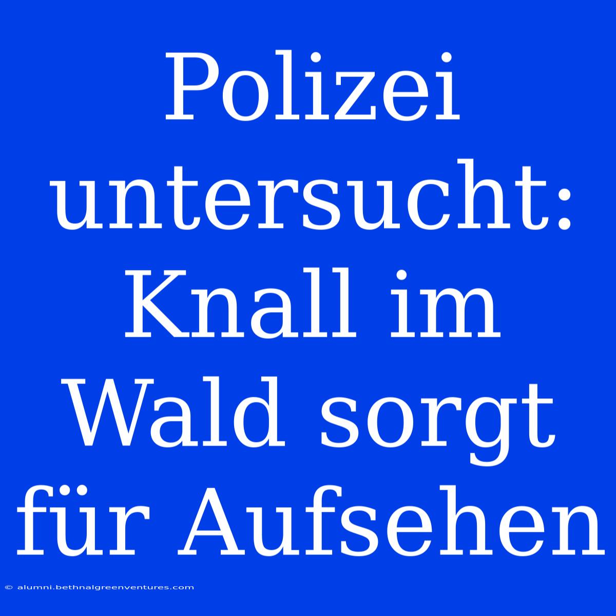 Polizei Untersucht: Knall Im Wald Sorgt Für Aufsehen