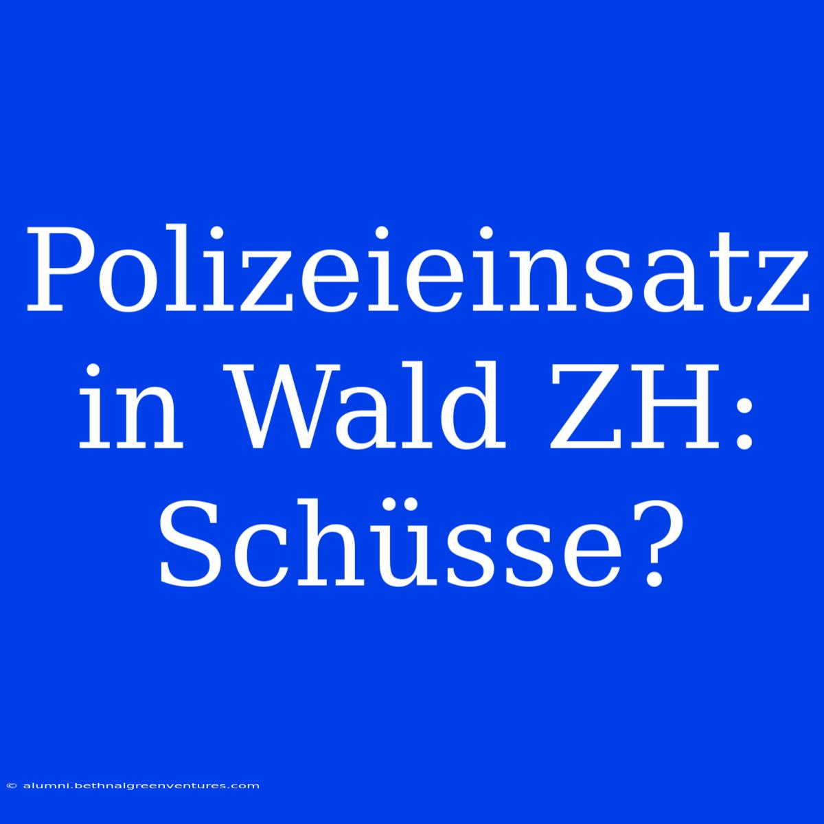 Polizeieinsatz In Wald ZH: Schüsse?