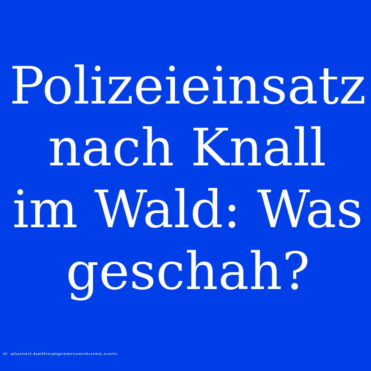 Polizeieinsatz Nach Knall Im Wald: Was Geschah?