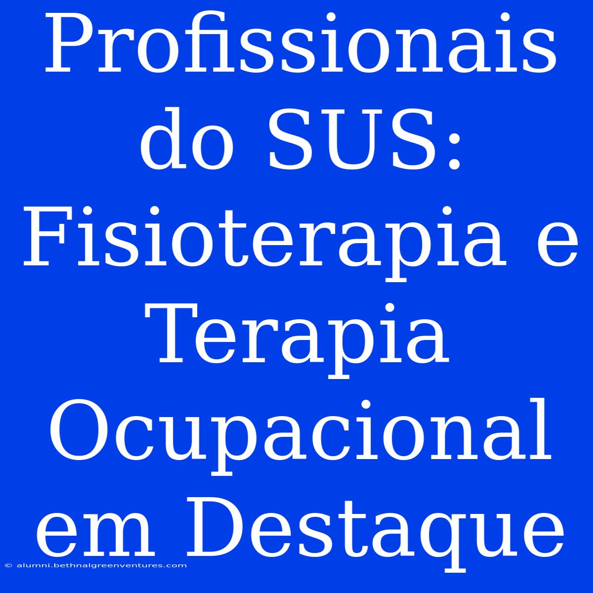 Profissionais Do SUS:  Fisioterapia E Terapia Ocupacional Em Destaque