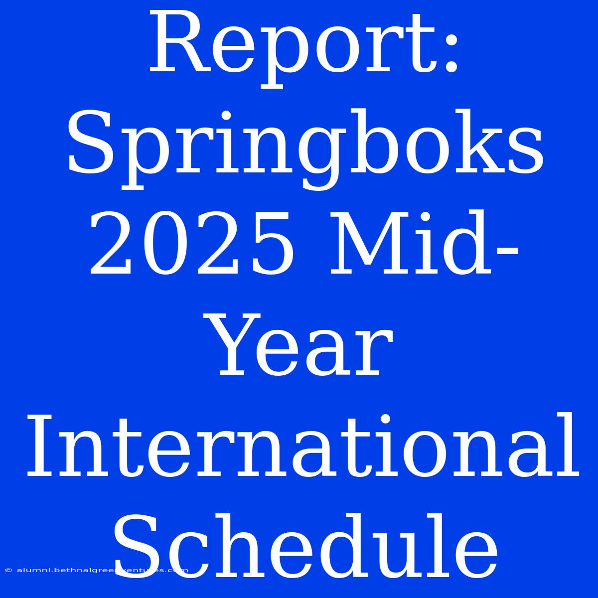 Report: Springboks 2025 Mid-Year International Schedule