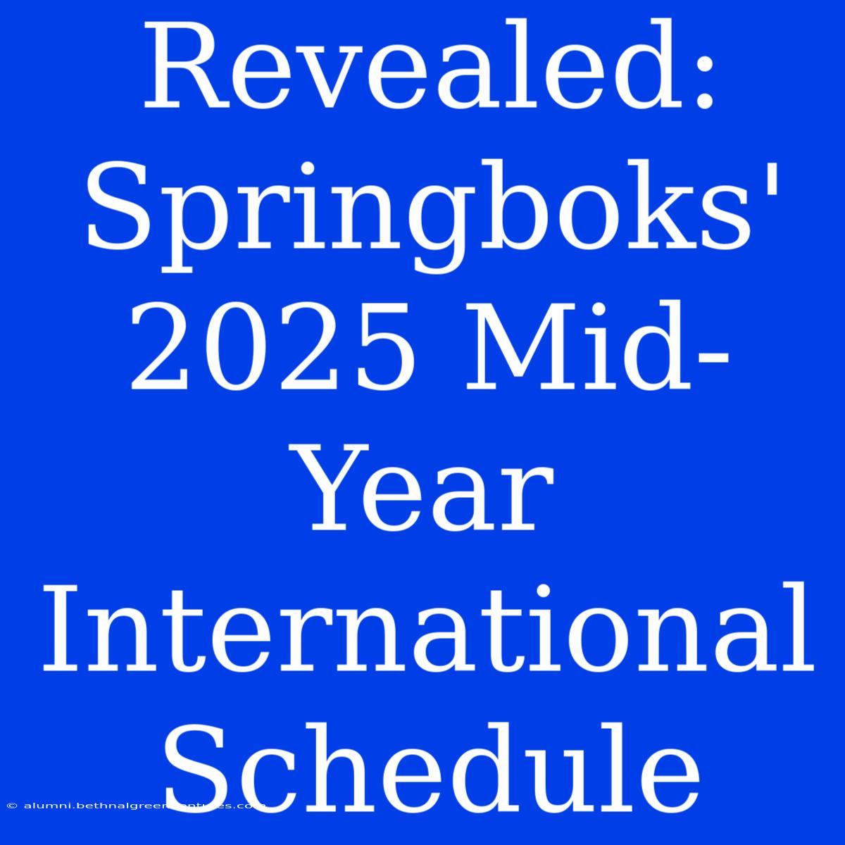 Revealed: Springboks' 2025 Mid-Year International Schedule