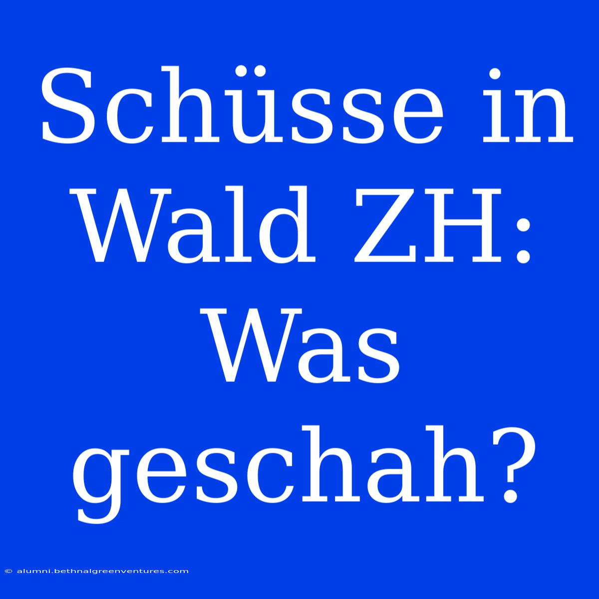 Schüsse In Wald ZH: Was Geschah?