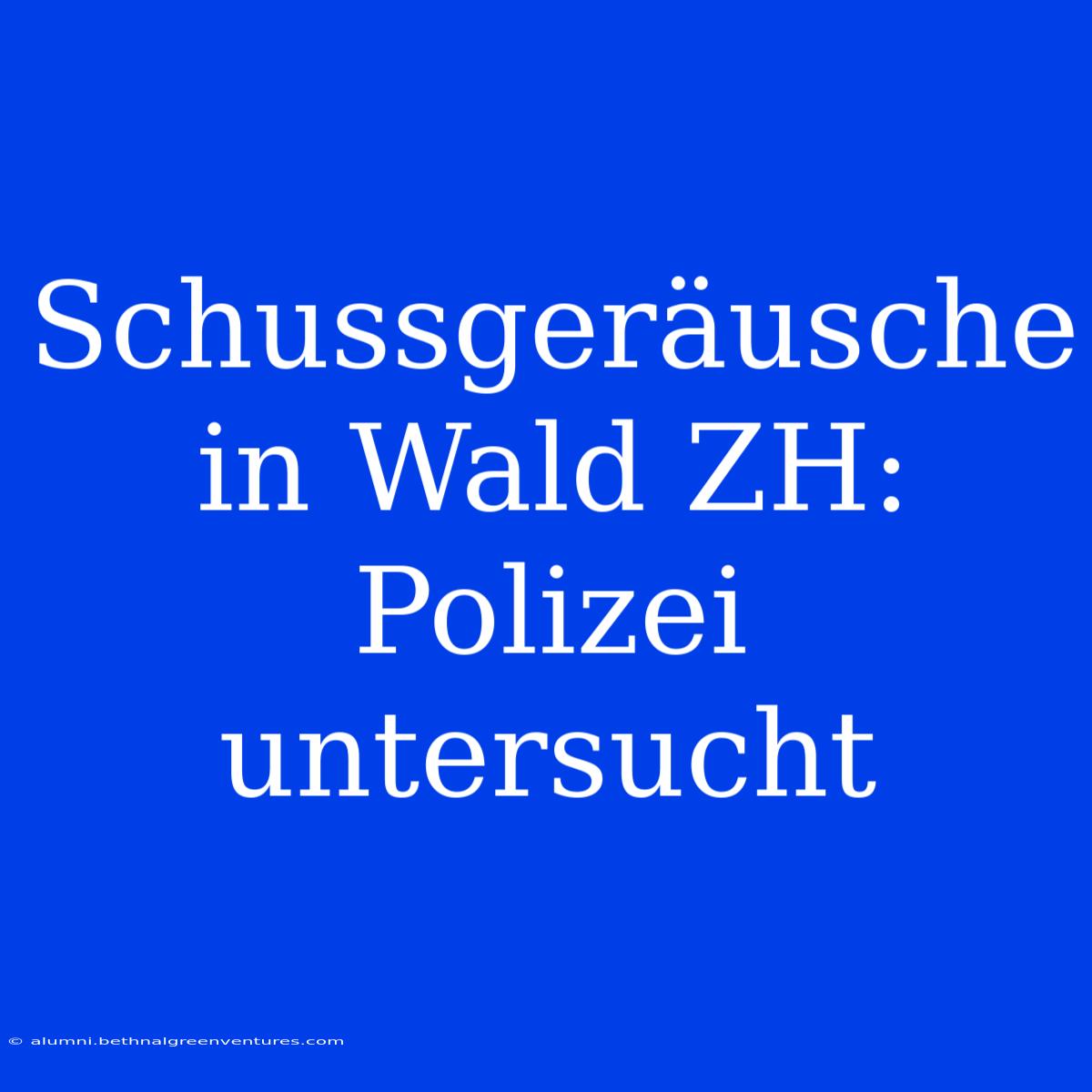 Schussgeräusche In Wald ZH: Polizei Untersucht