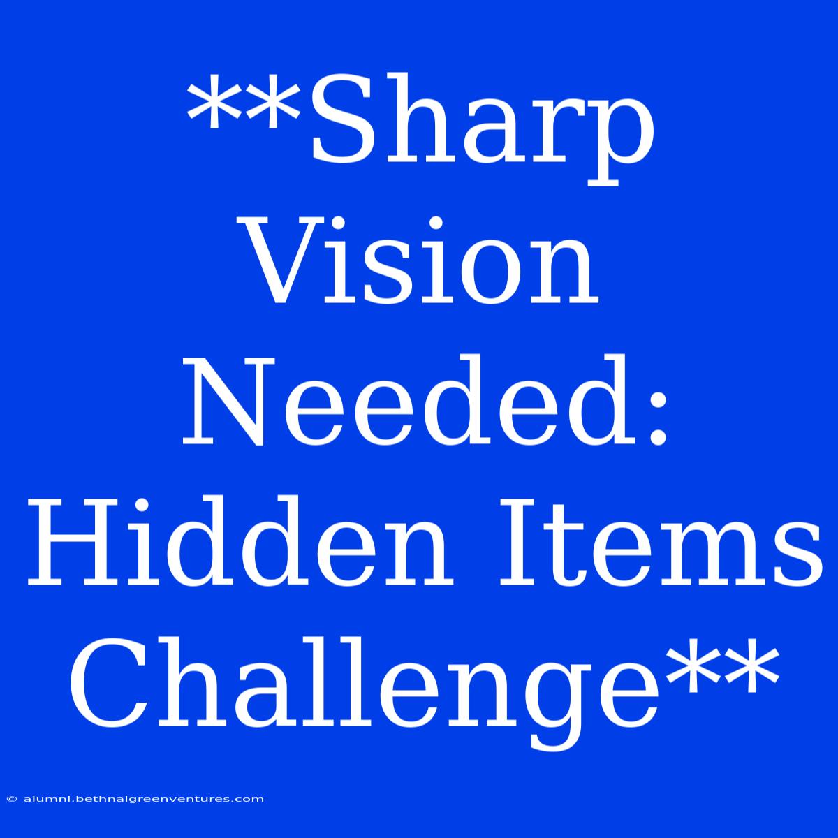 **Sharp Vision Needed: Hidden Items Challenge**