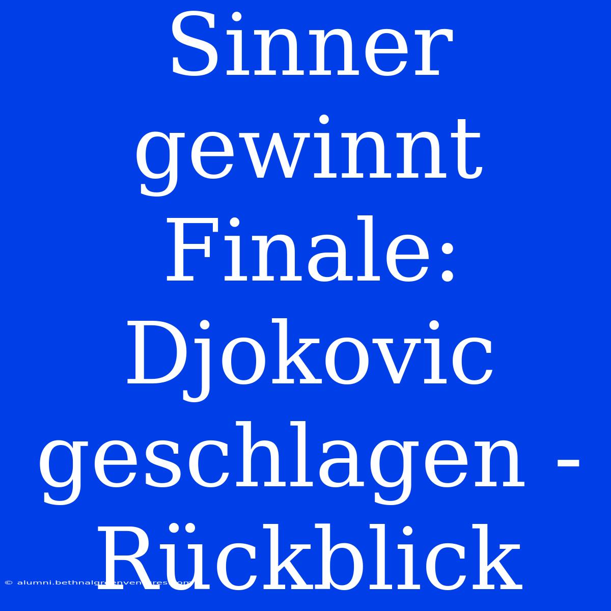 Sinner Gewinnt Finale: Djokovic Geschlagen - Rückblick 