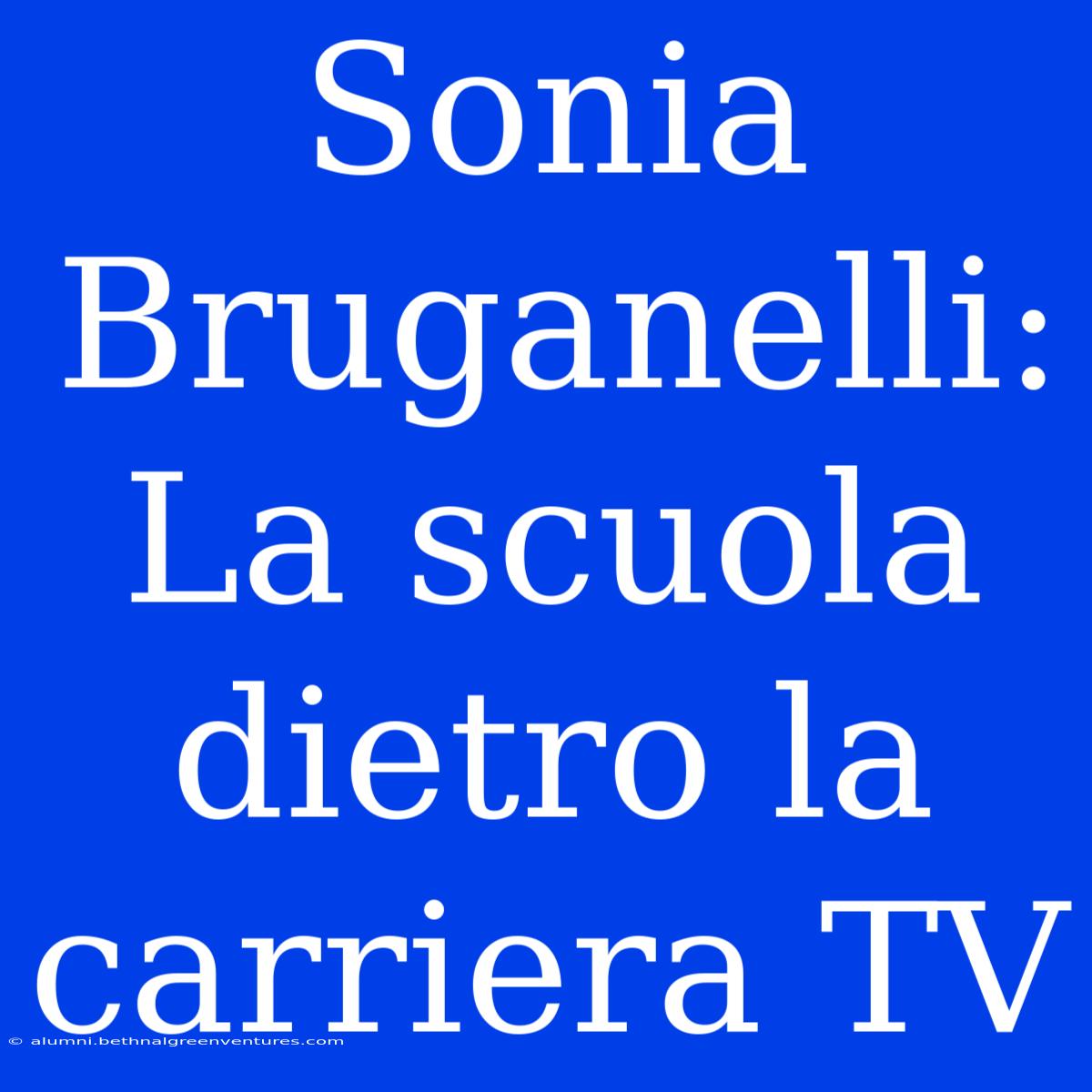 Sonia Bruganelli: La Scuola Dietro La Carriera TV