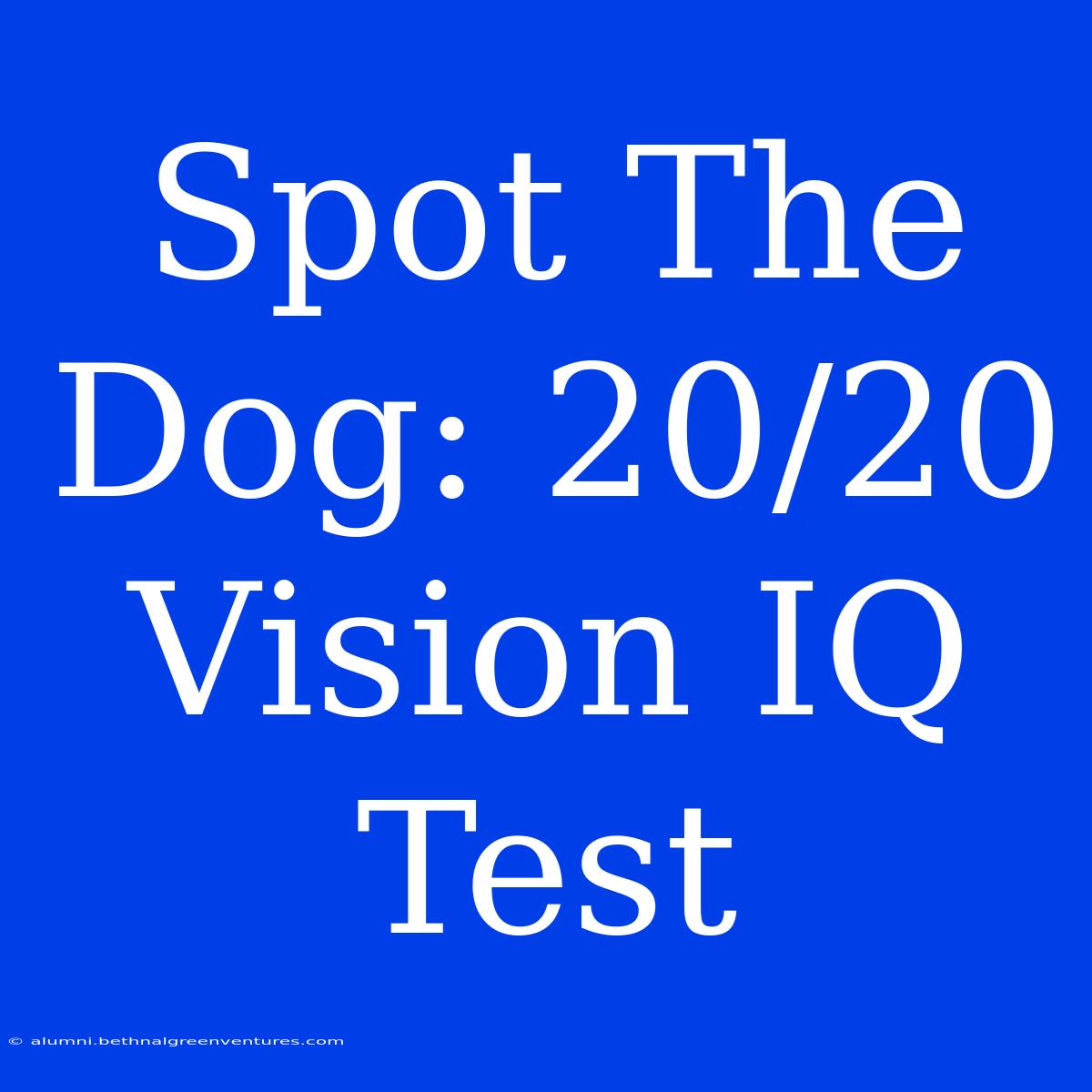 Spot The Dog: 20/20 Vision IQ Test