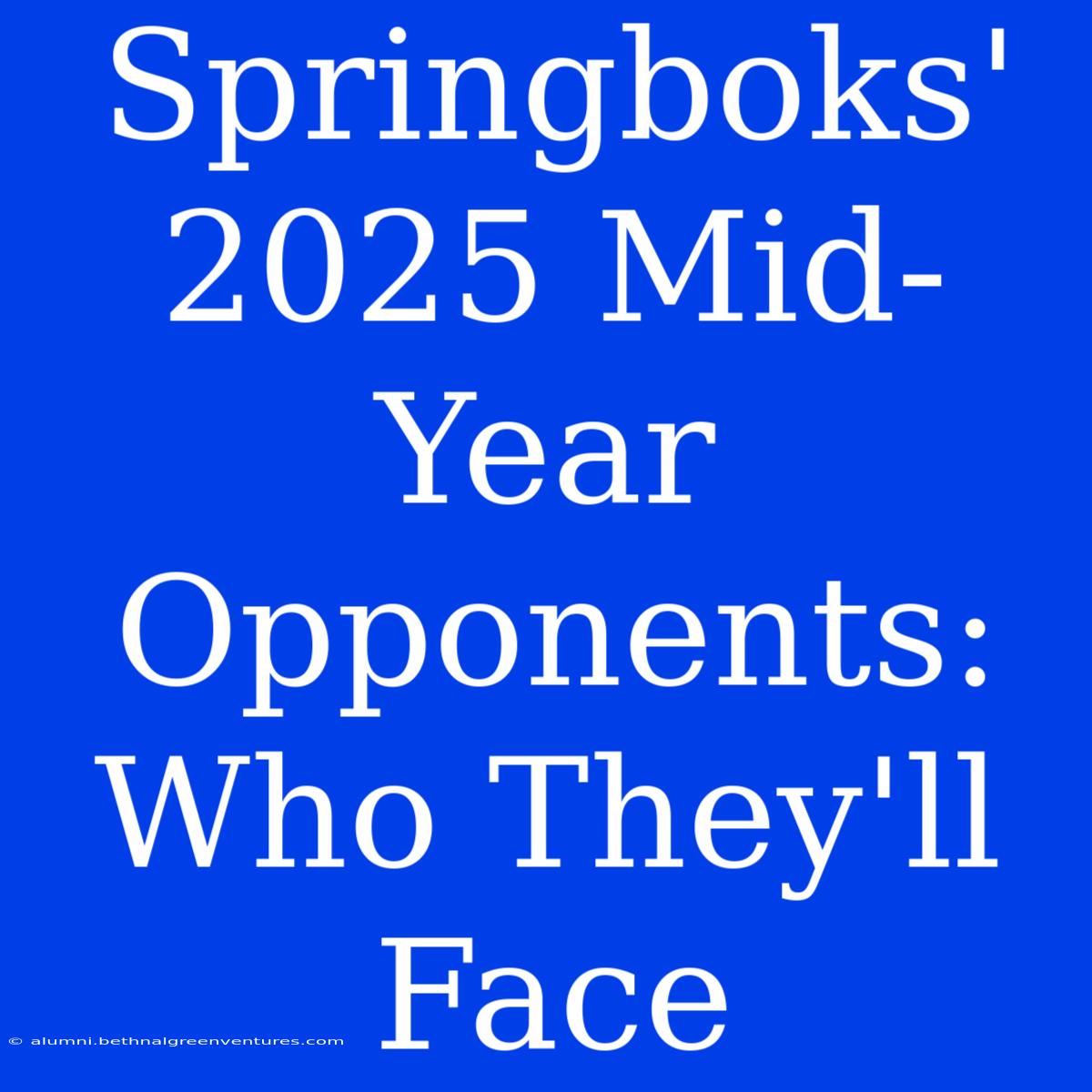 Springboks' 2025 Mid-Year Opponents: Who They'll Face