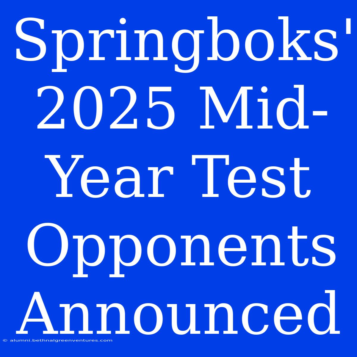 Springboks' 2025 Mid-Year Test Opponents Announced