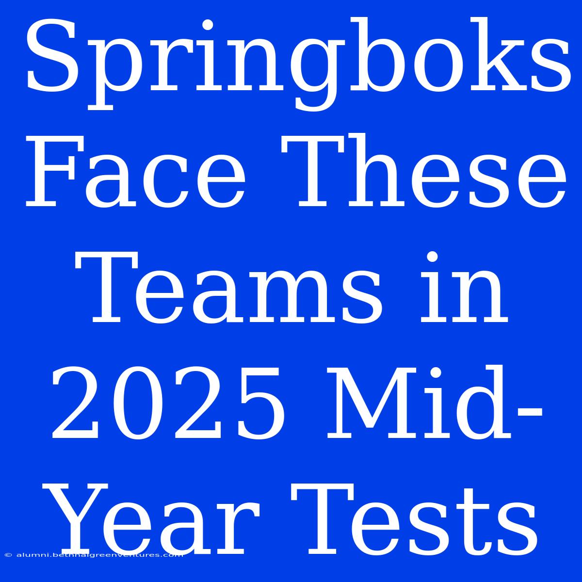 Springboks Face These Teams In 2025 Mid-Year Tests