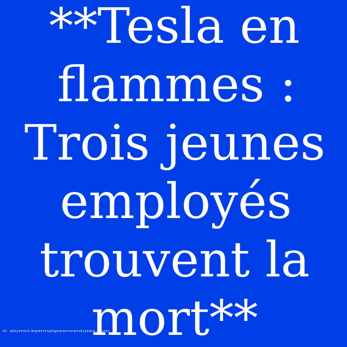 **Tesla En Flammes : Trois Jeunes Employés Trouvent La Mort**