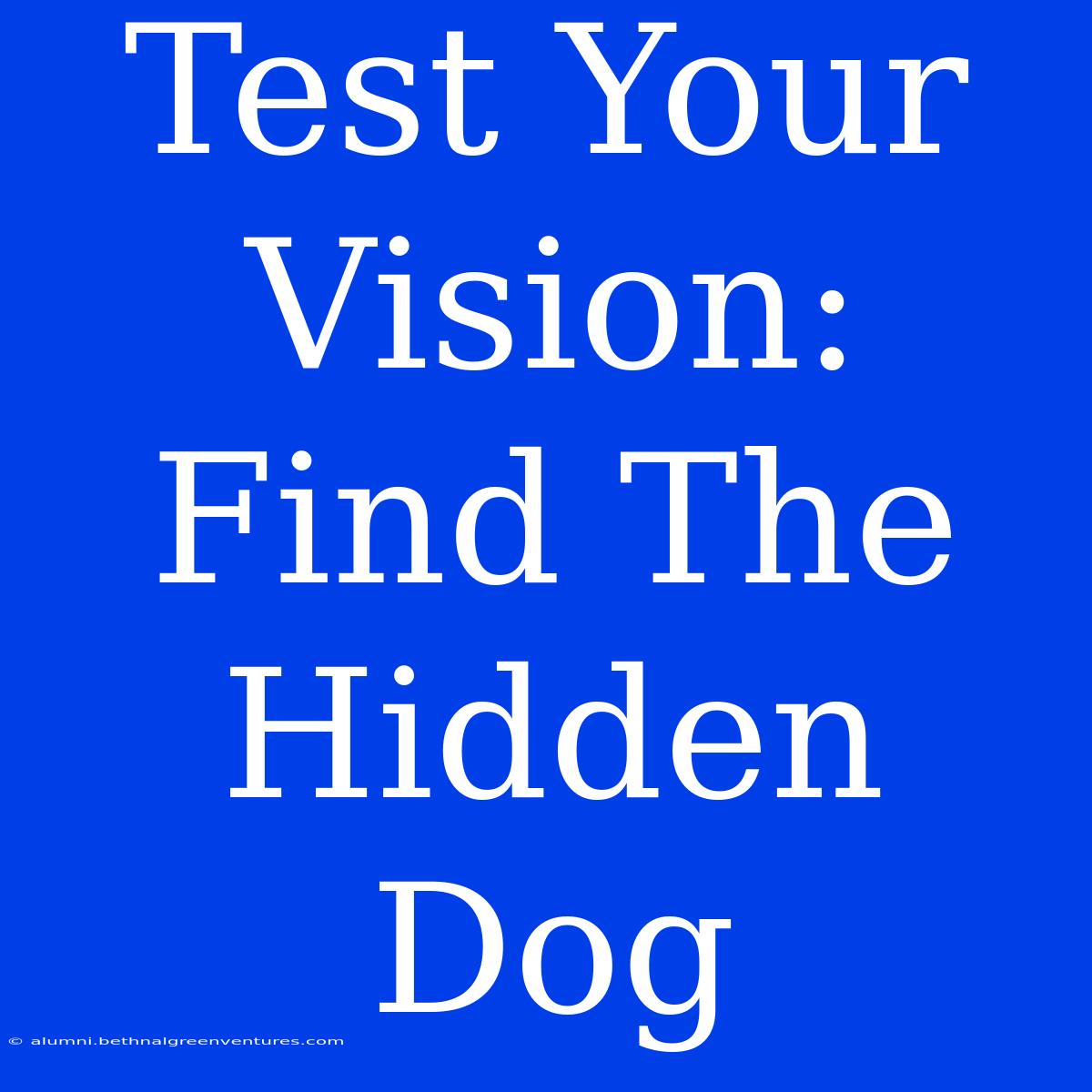 Test Your Vision: Find The Hidden Dog