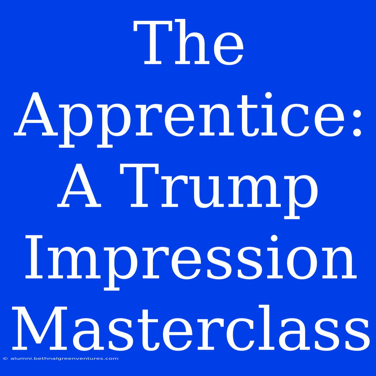 The Apprentice: A Trump Impression Masterclass