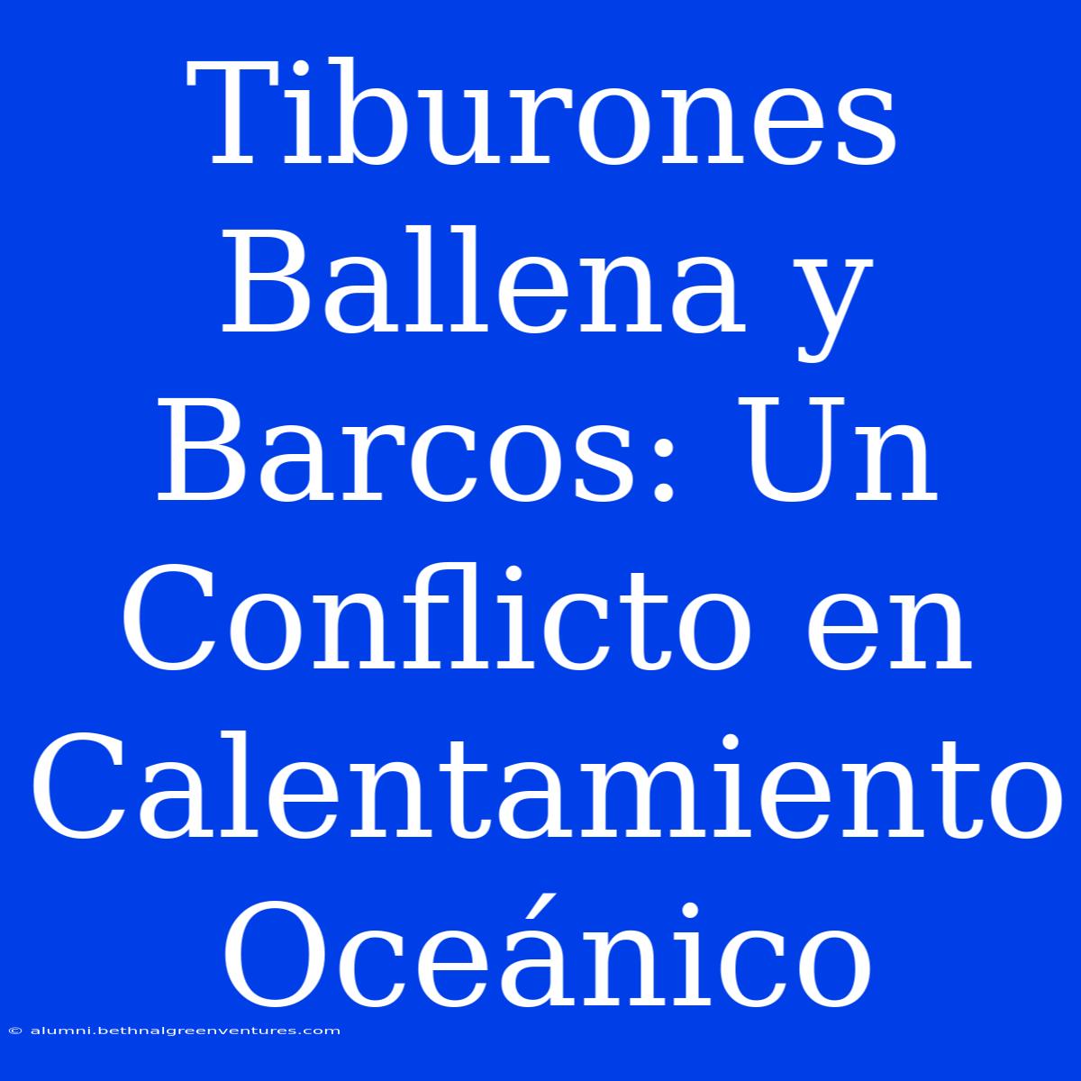 Tiburones Ballena Y Barcos: Un Conflicto En Calentamiento Oceánico