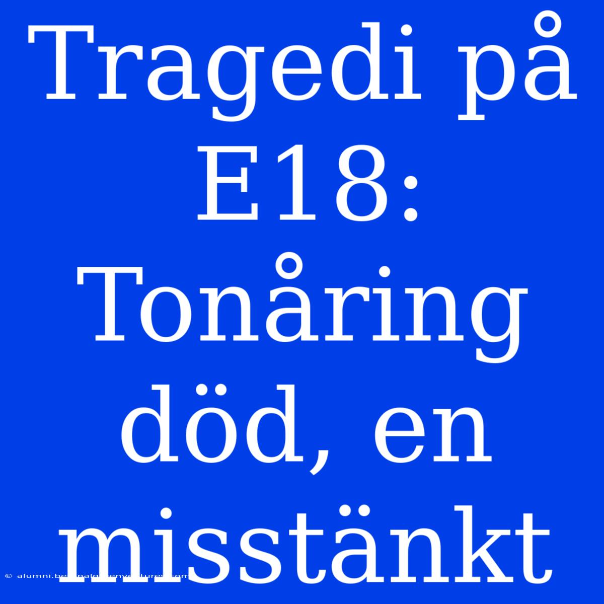 Tragedi På E18: Tonåring Död, En Misstänkt