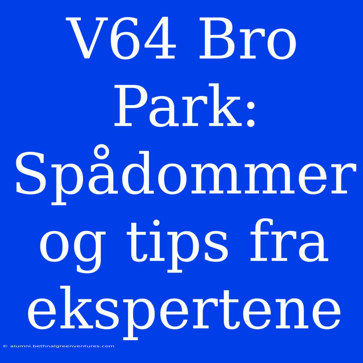 V64 Bro Park: Spådommer Og Tips Fra Ekspertene 