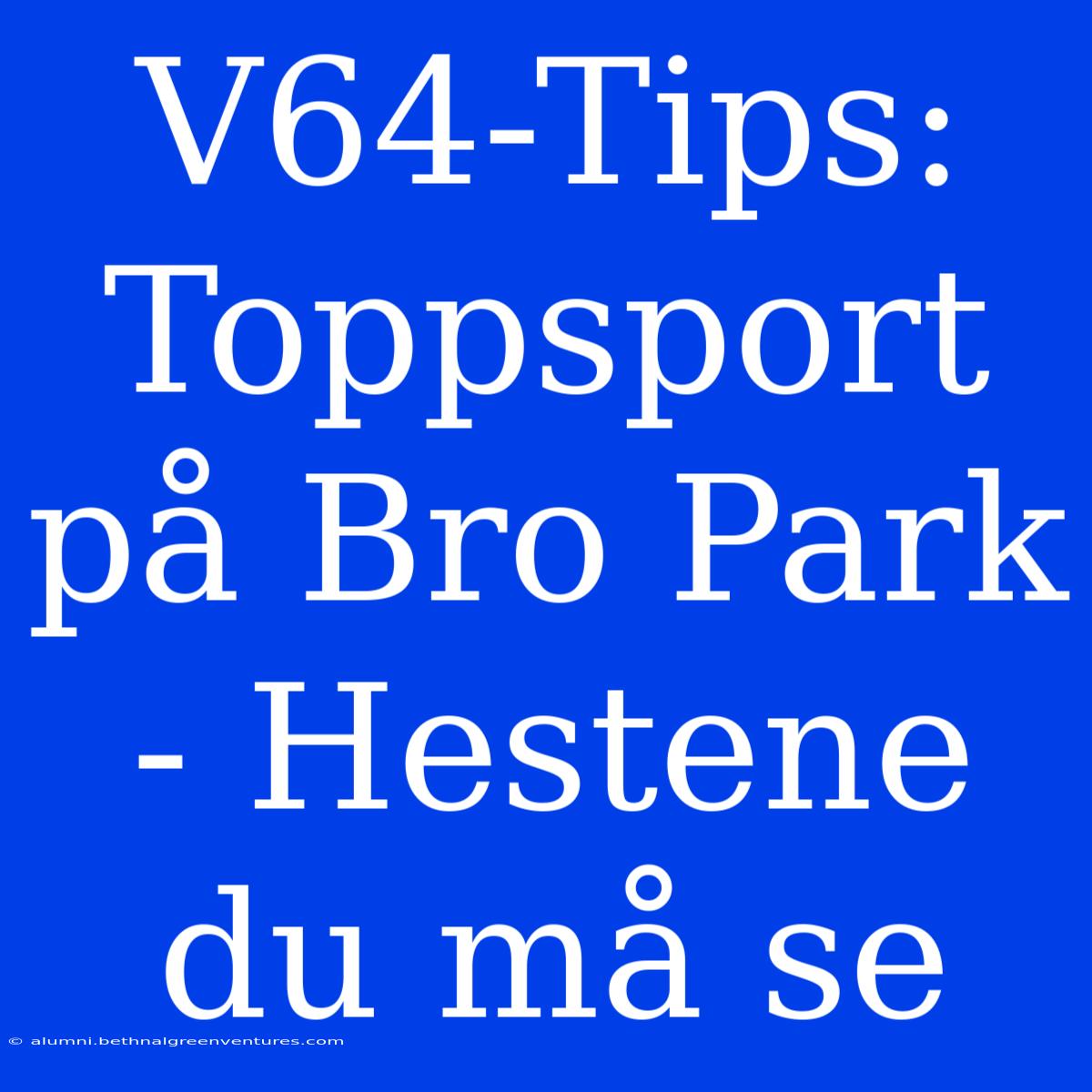 V64-Tips: Toppsport På Bro Park - Hestene Du Må Se