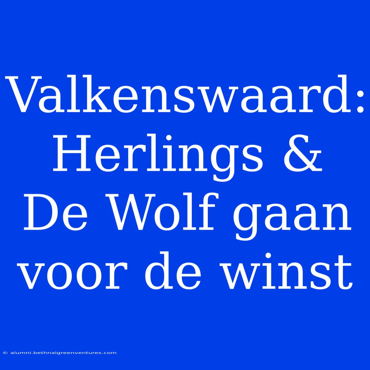 Valkenswaard: Herlings & De Wolf Gaan Voor De Winst