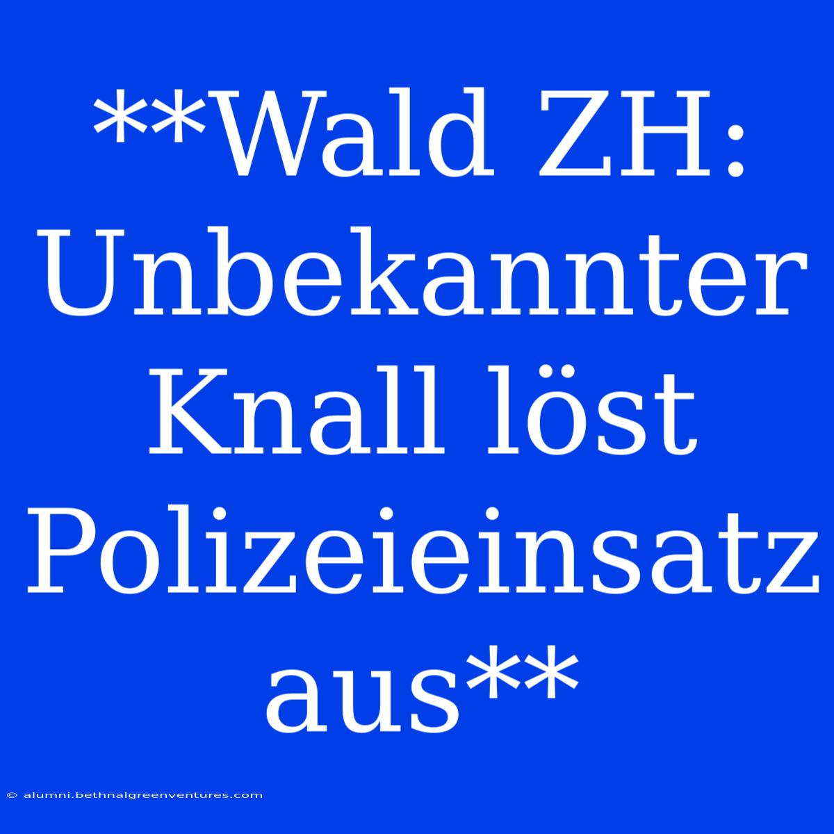 **Wald ZH: Unbekannter Knall Löst Polizeieinsatz Aus**