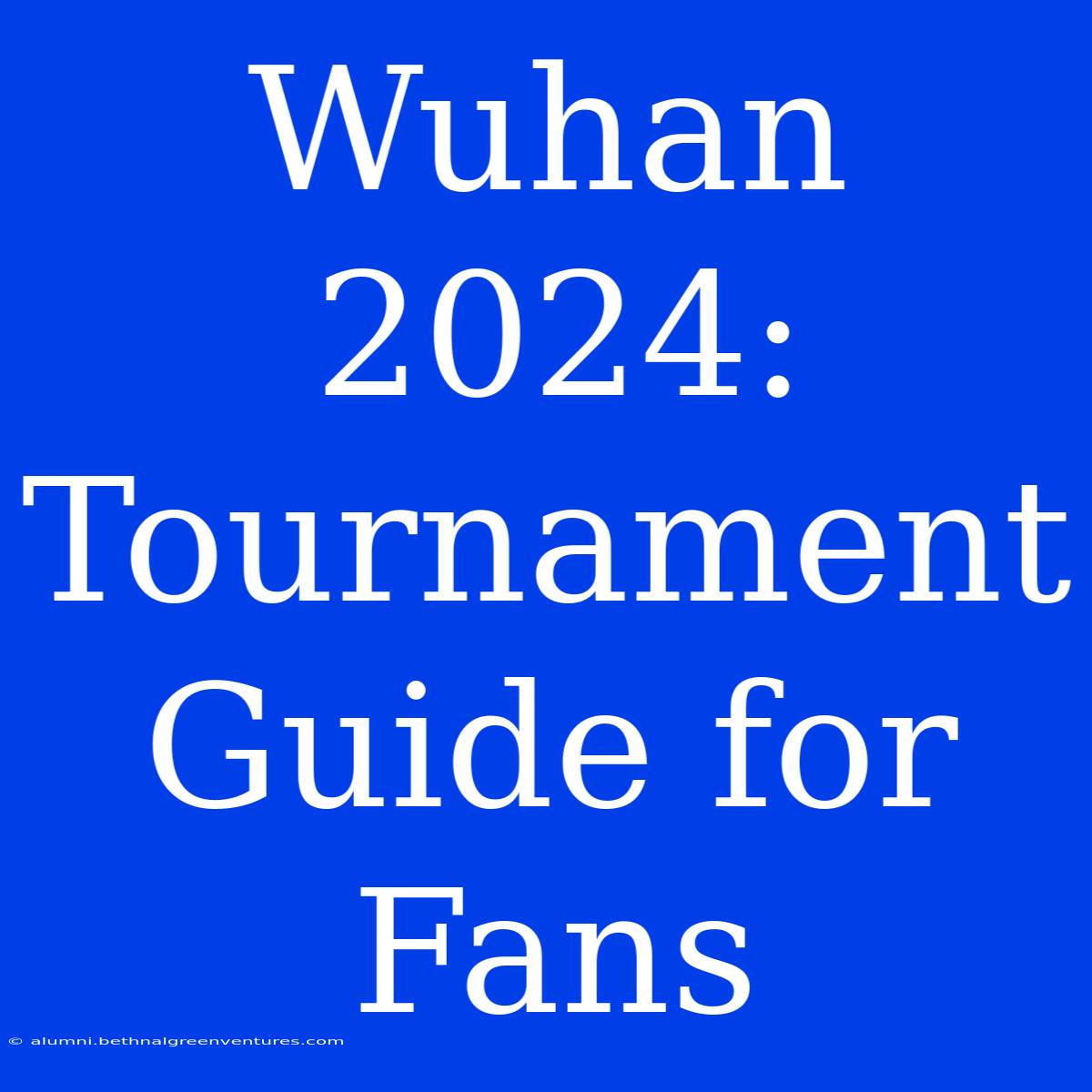 Wuhan 2024: Tournament Guide For Fans