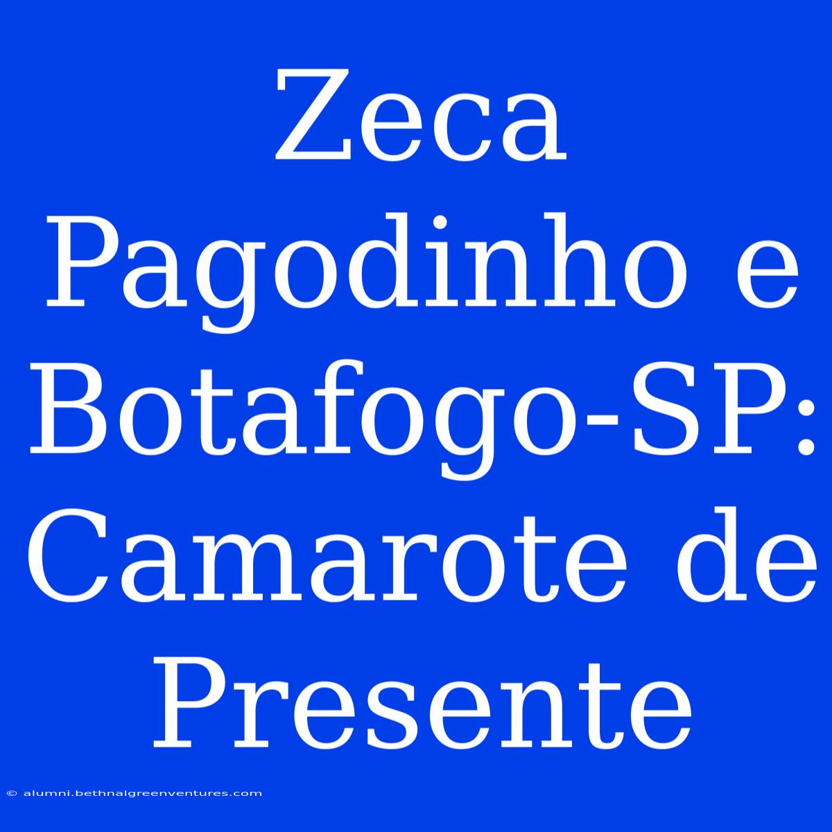 Zeca Pagodinho E Botafogo-SP: Camarote De Presente