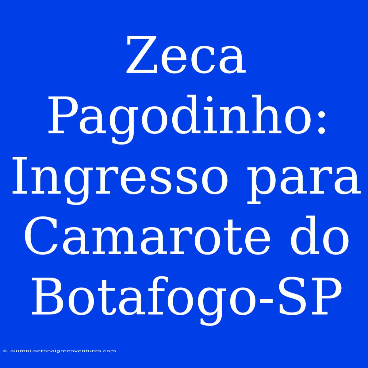 Zeca Pagodinho: Ingresso Para Camarote Do Botafogo-SP