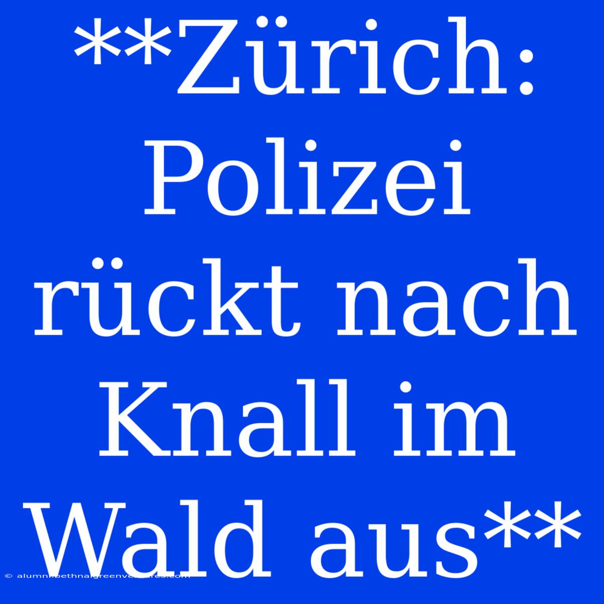 **Zürich: Polizei Rückt Nach Knall Im Wald Aus**