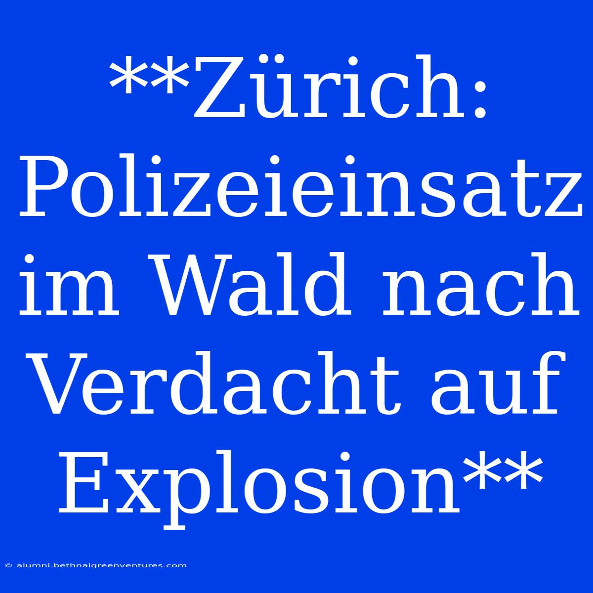 **Zürich: Polizeieinsatz Im Wald Nach Verdacht Auf Explosion** 