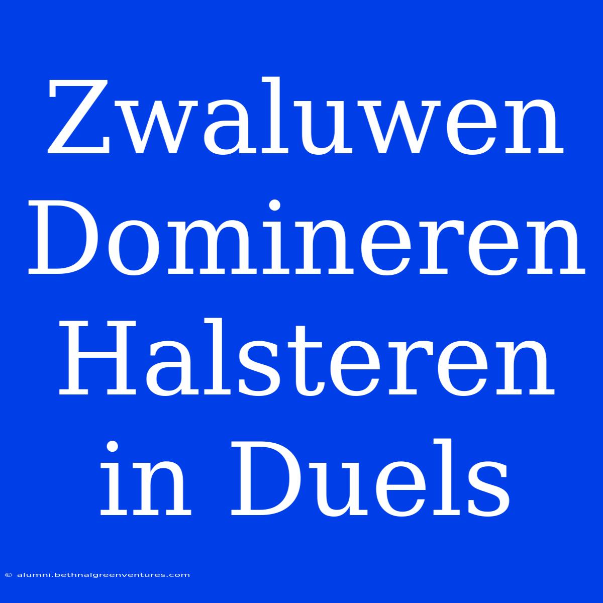 Zwaluwen Domineren Halsteren In Duels