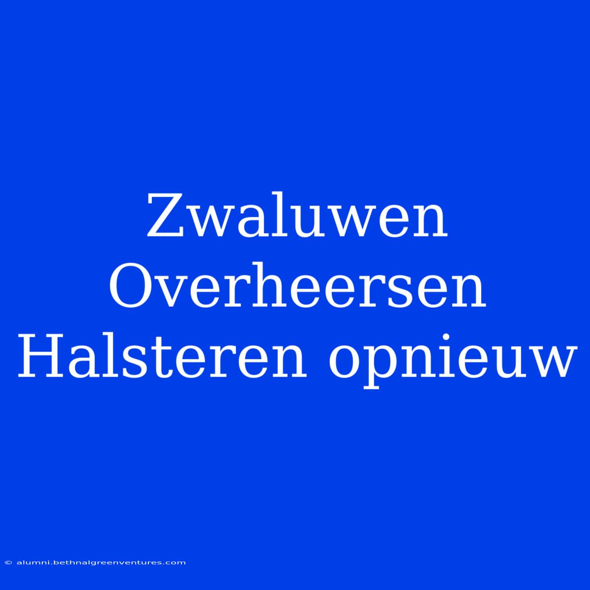 Zwaluwen Overheersen Halsteren Opnieuw