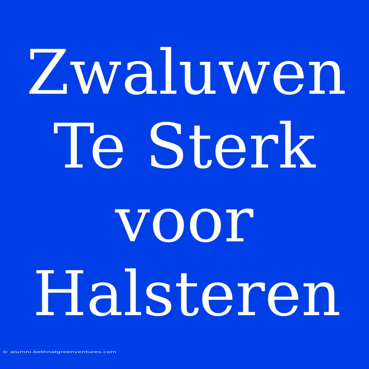 Zwaluwen Te Sterk Voor Halsteren