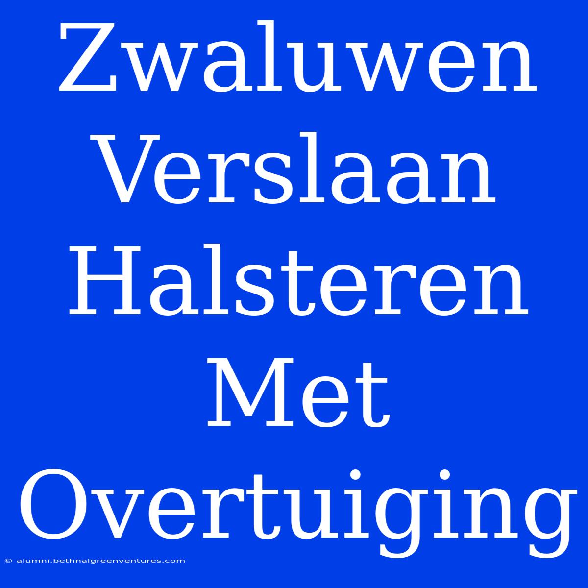 Zwaluwen Verslaan Halsteren Met Overtuiging 