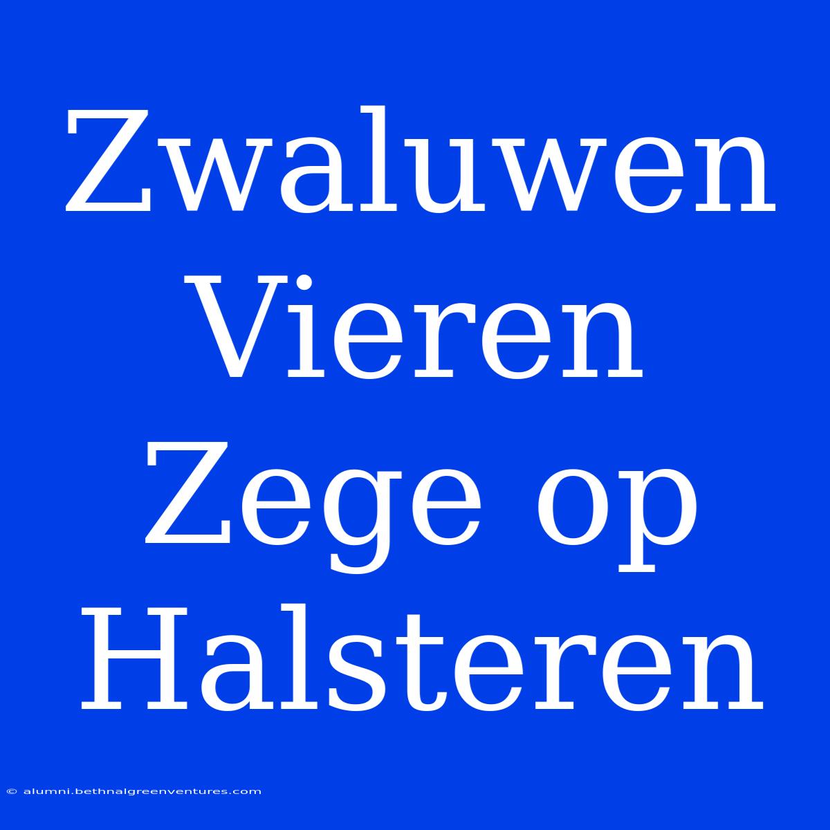 Zwaluwen Vieren Zege Op Halsteren